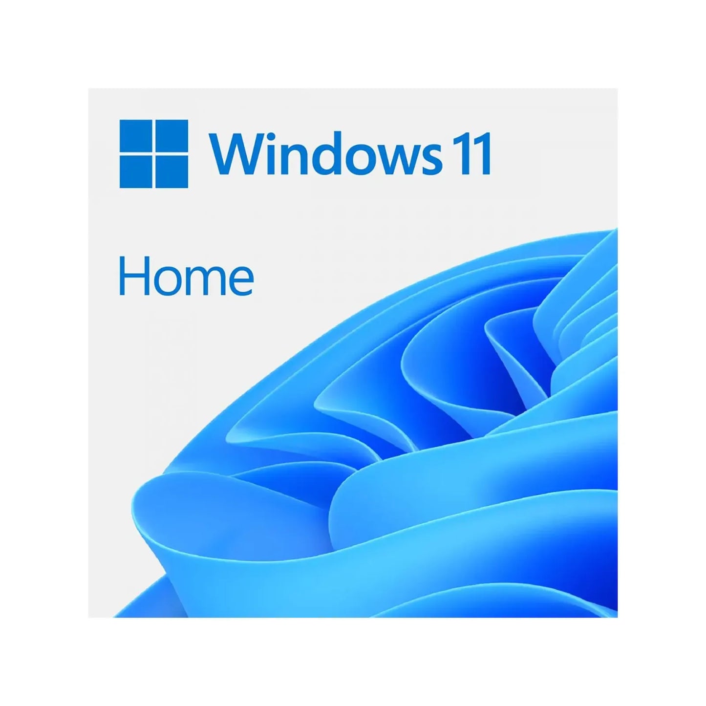Microsoft Windows 11 Home Single-User ESD License