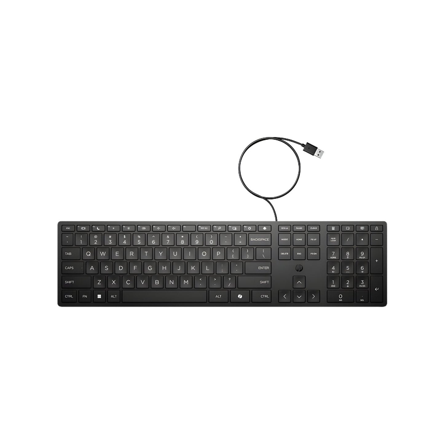HP 320K USB Wired Desktop Black Keyboard