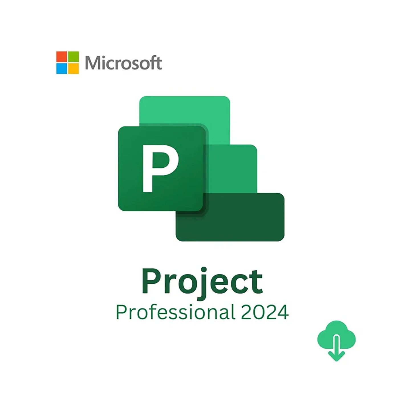 Microsoft Project Pro 2024 ESD Lifetime License