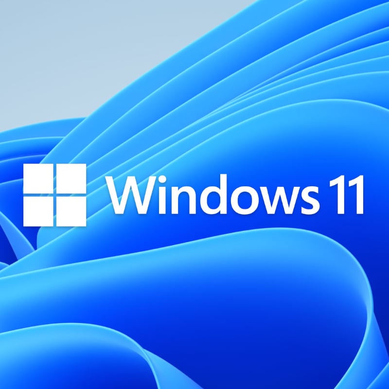 MICROSOFT WIN 11 PRO 64BIT DSP